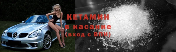 гашик Алексин