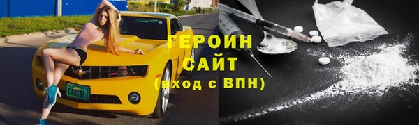 гашик Алексин