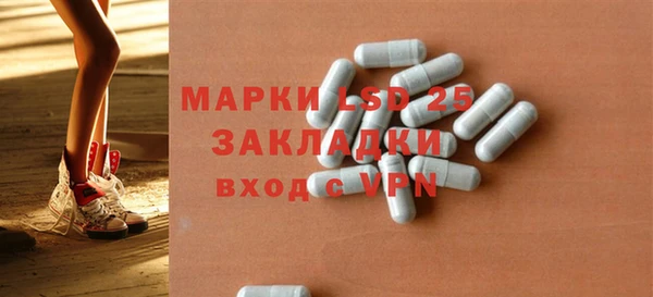 гашик Алексин