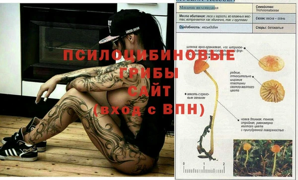 хмурый Алзамай