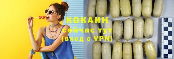 хмурый Алзамай