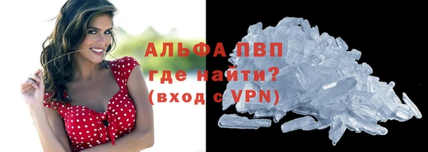гашик Алексин