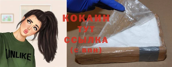 хмурый Алзамай