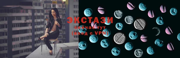 гашик Алексин