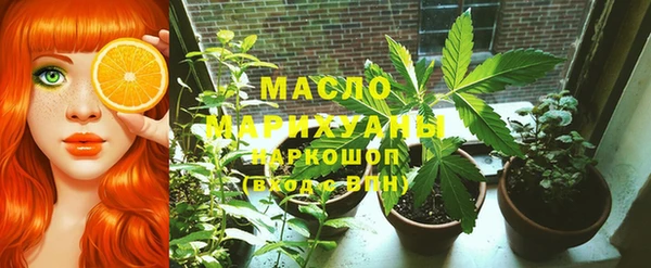молекула духа Арсеньев