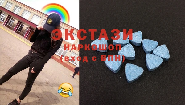 гашик Алексин