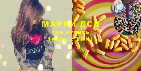 хмурый Алзамай