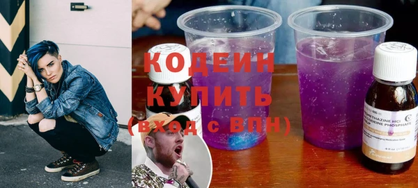гашик Алексин