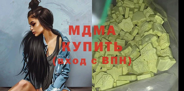 гашик Алексин