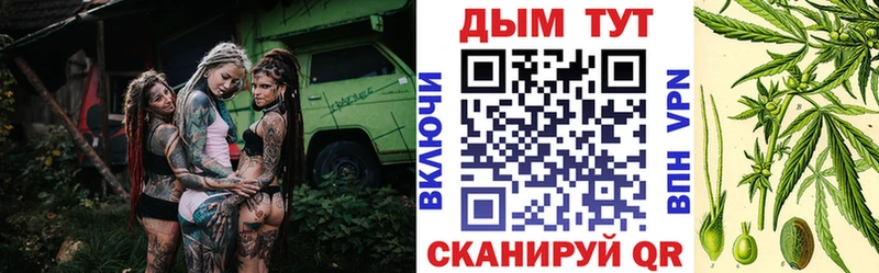 Каннабис план  Приморск 